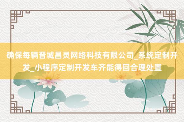 确保每辆晋城昌灵网络科技有限公司_系统定制开发_小程序定制开发车齐能得回合理处置